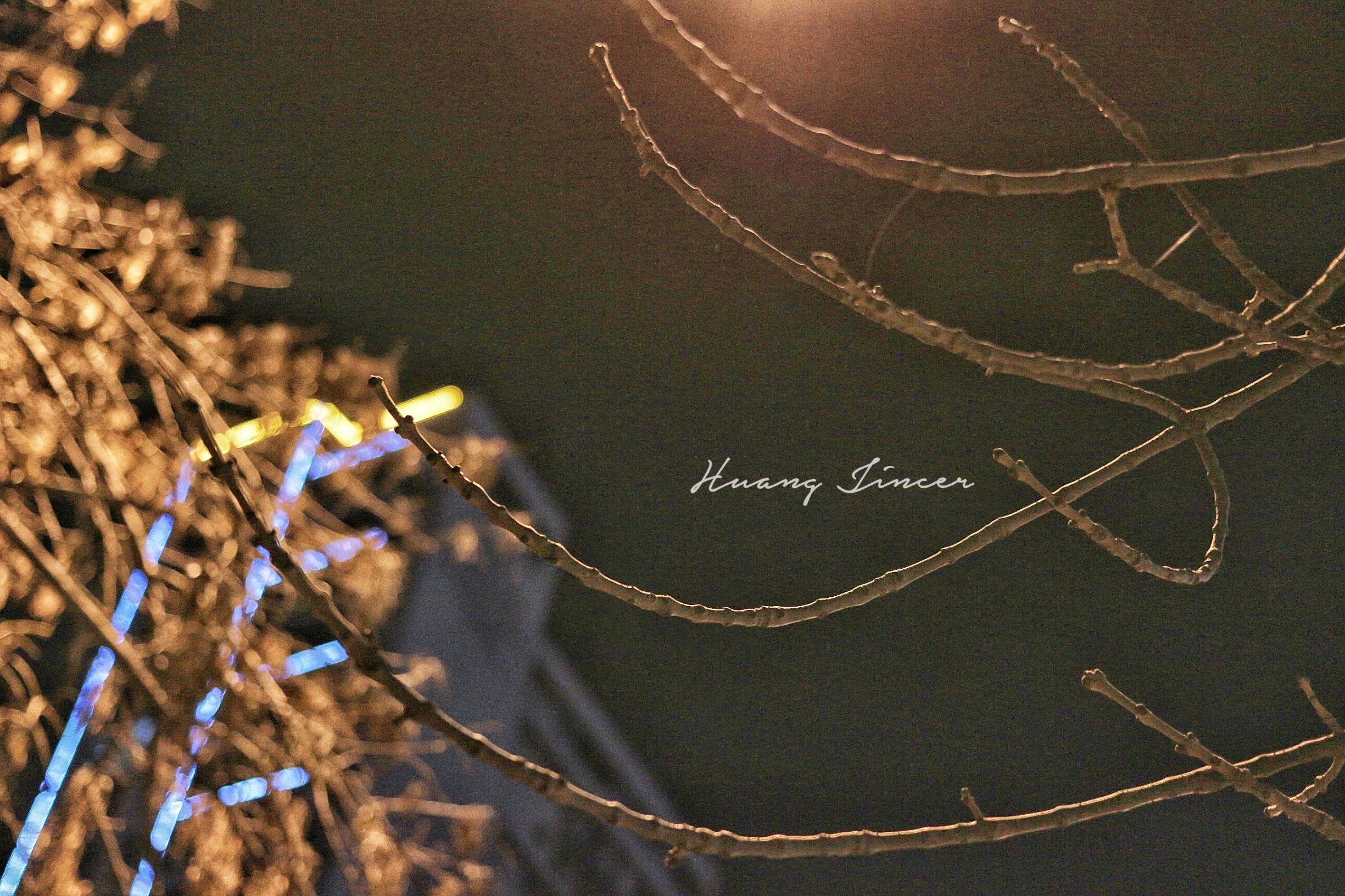 扫大街专用工具,扫大街必备神器