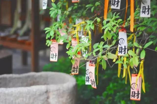 深圳周边7个人温泉酒店,房间里带温泉的酒店深圳周边