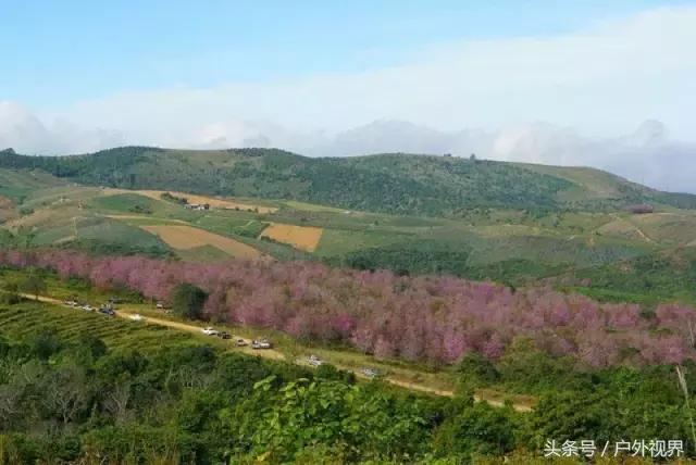 泰国自驾游要办哪些手续,泰国深度自驾线路推荐