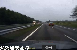 高速撞到动物有什么忌讳,高速行车遇动物怎么办