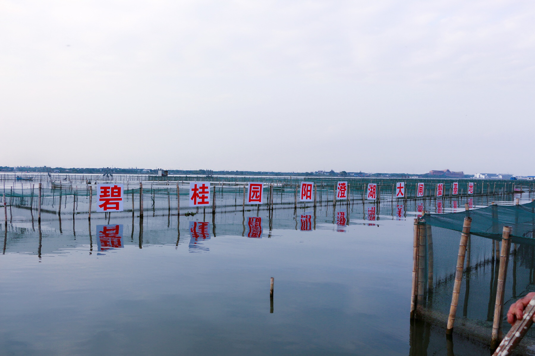 鑻忓窞闃虫緞婀栫編鍛崇壒浜уぇ闂歌煿,鑻忓窞鍚冮槼婢勬箹澶ч椄锜圭殑閰掑簵鎺ㄨ崘