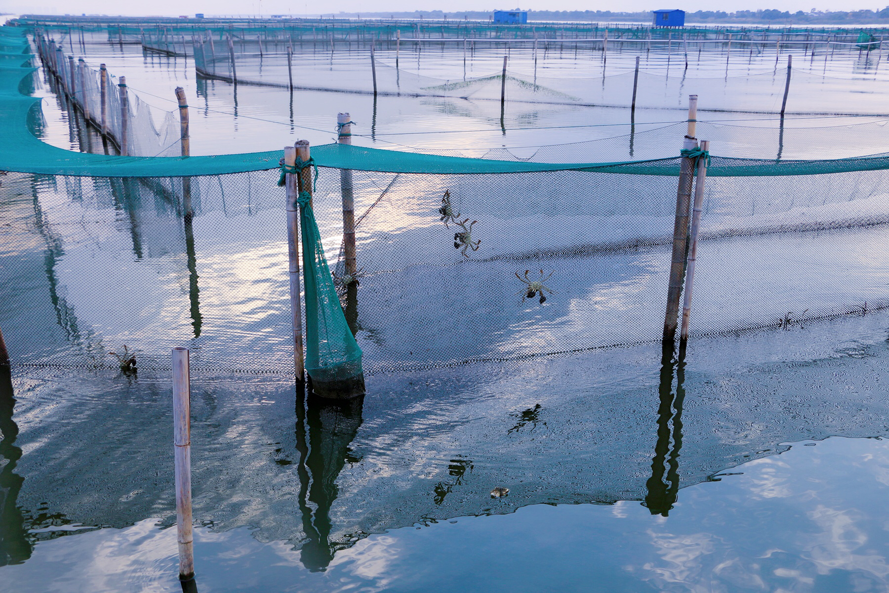 鑻忓窞闃虫緞婀栫編鍛崇壒浜уぇ闂歌煿,鑻忓窞鍚冮槼婢勬箹澶ч椄锜圭殑閰掑簵鎺ㄨ崘