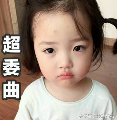 5个月宝宝牙胶测评排行榜前十名,比较硬的牙胶适合几月龄宝宝