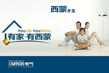 罗格朗开关插座是十大品牌吗,开关插座面板十大品牌排行榜