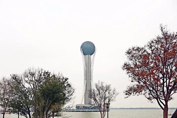 你越黄，我越喜欢！凛冬将至，这是最后一波西太湖的秋景