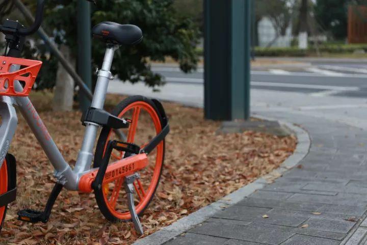 你越黄，我越喜欢！凛冬将至，这是最后一波西太湖的秋景
