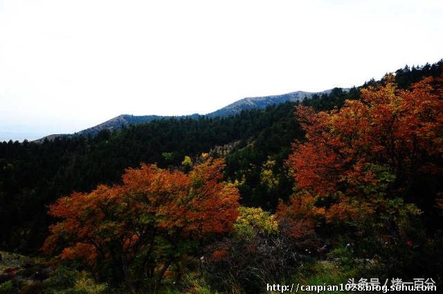 吴忠好玩的地方,吴忠旅游攻略一日游