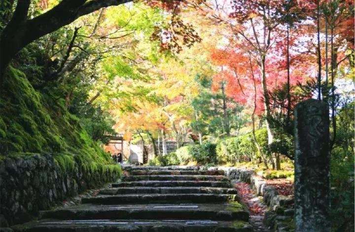 京都扫货攻略,京都购物省钱技巧