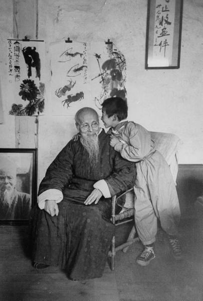 齐白石最好的几幅画,齐白石最会画什么