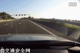 高速撞到动物有什么忌讳,高速行车遇动物怎么办