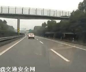 高速撞到动物有什么忌讳,高速行车遇动物怎么办