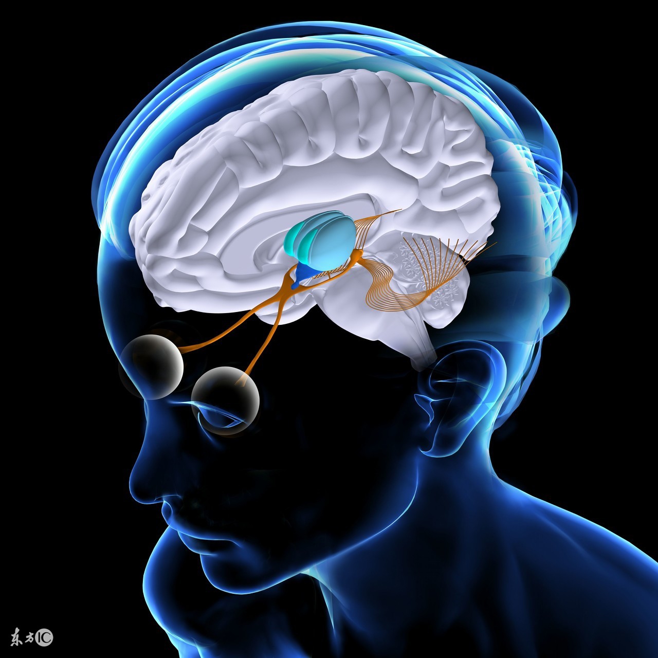 给孩子退热最佳方法,退热方法小孩