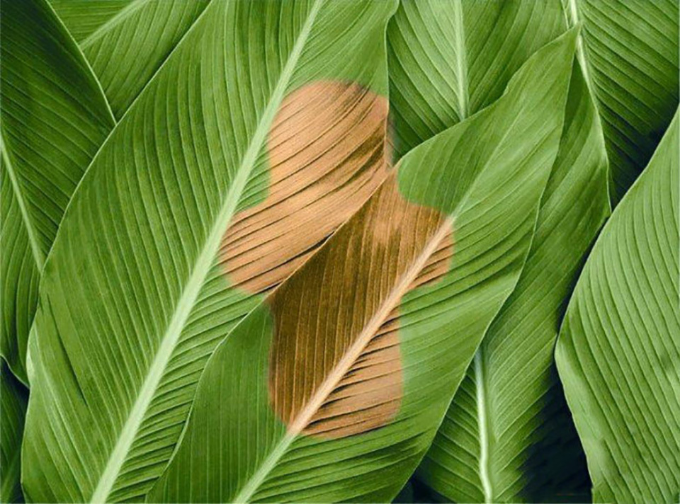 卫生护垫多长时间换洗,卫生护垫几个小时换一次最好