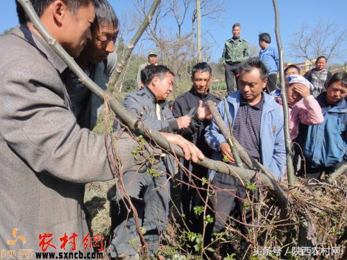 农村创业点子100例,想回老家创业新点子100个最新