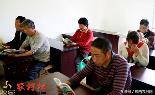 农村创业点子100例,想回老家创业新点子100个最新