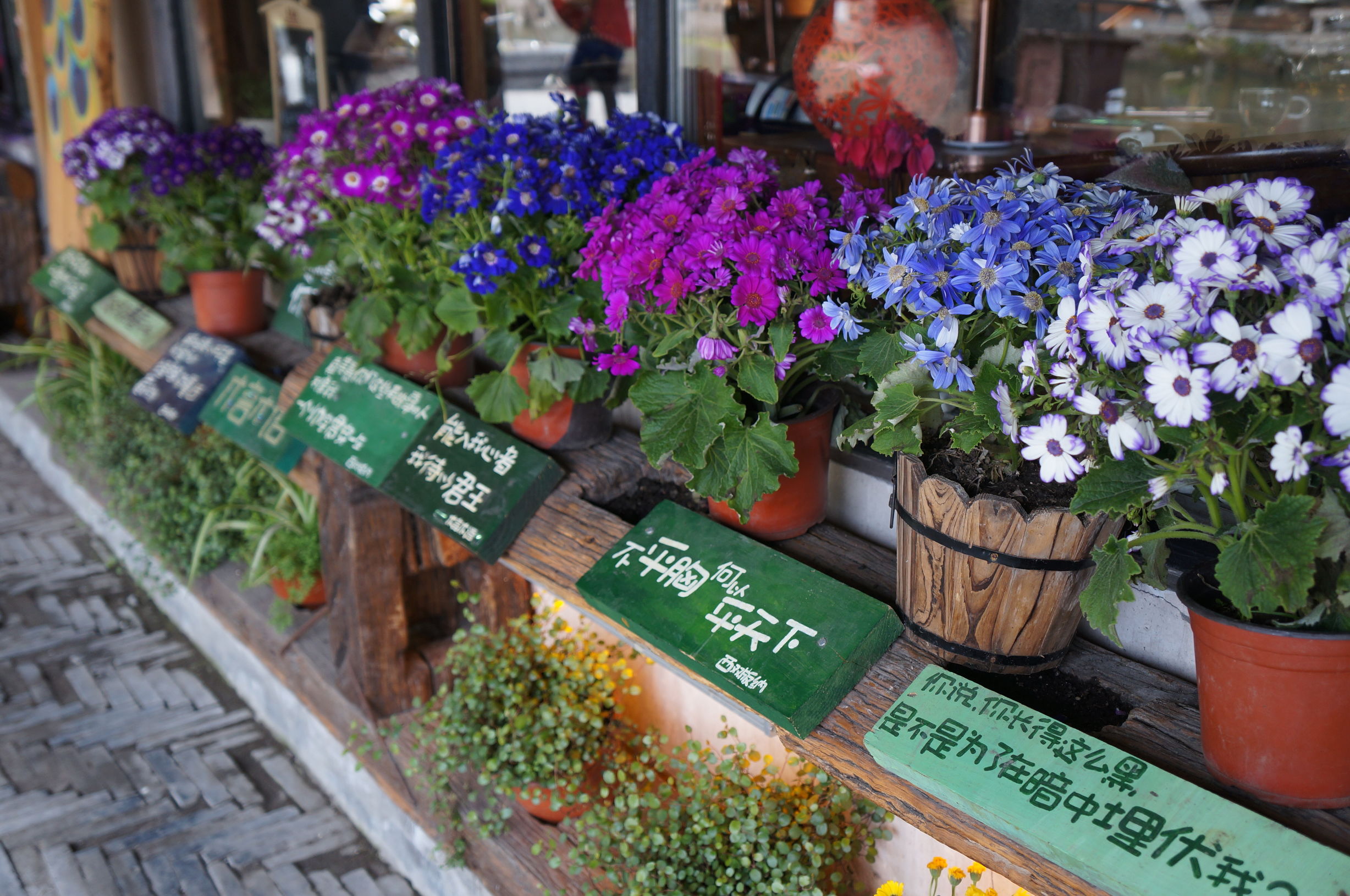 一场说走就走的旅行自驾游,一场说走就走的旅行很简单