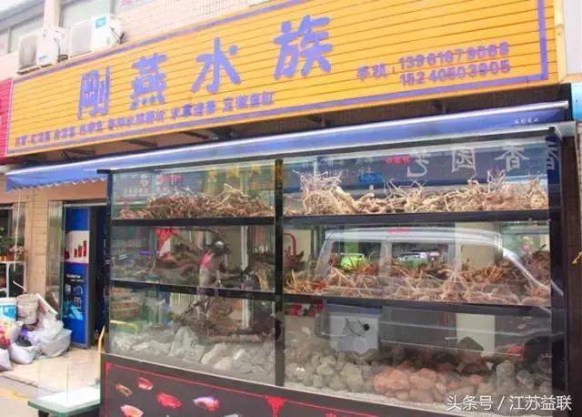 常州鹤远古玩市场,常州古玩市场春节休市吗