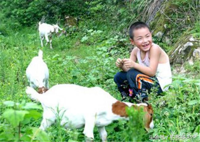 钓叟张演义第二回钓具DIY：擒黄颡首战告捷，失白翘再钓铩羽