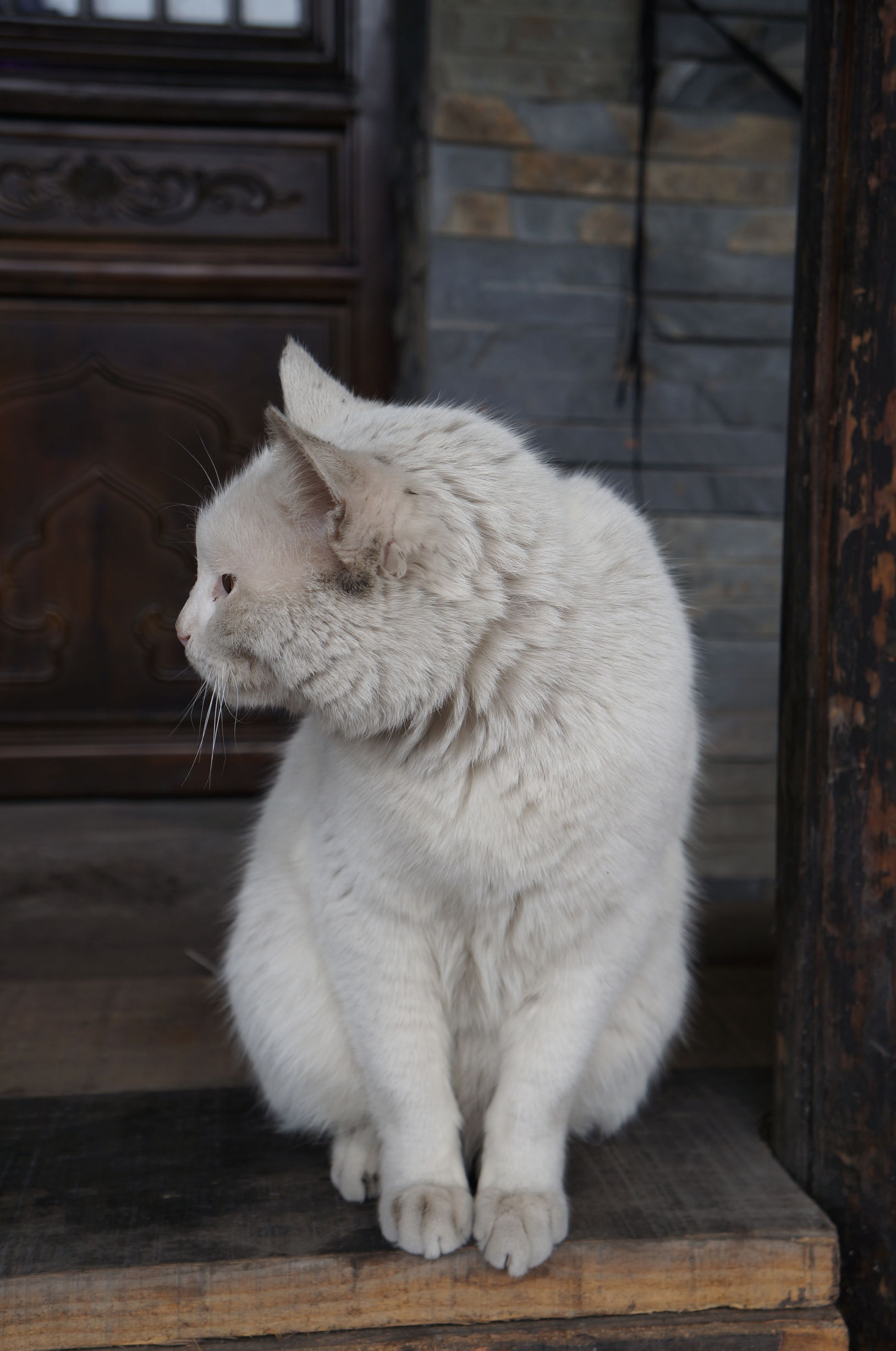 一场说走就走的旅行自驾游,一场说走就走的旅行很简单