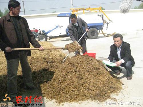 农村创业点子100例,想回老家创业新点子100个最新