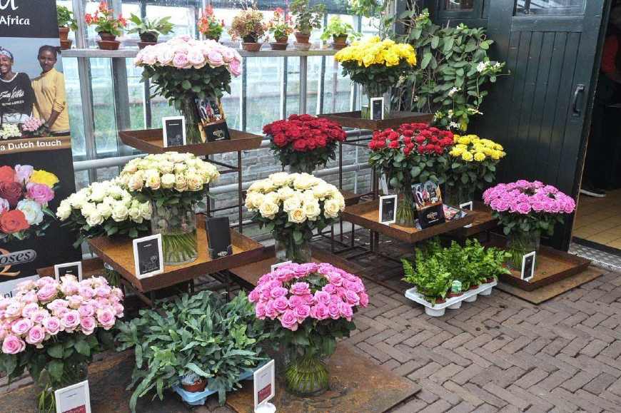 大学生小众创业项目,大学生创业好点子怎么做成项目