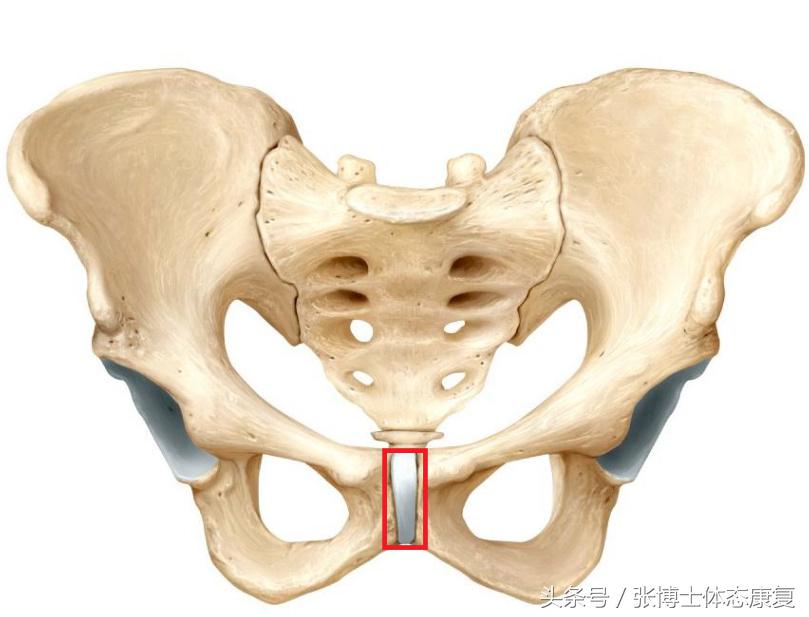孕期耻骨疼康复理疗,孕期运动疗法图片