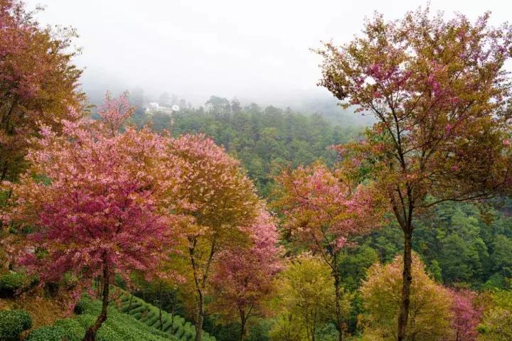 大多数小伙伴儿都不知道的旅行秘密