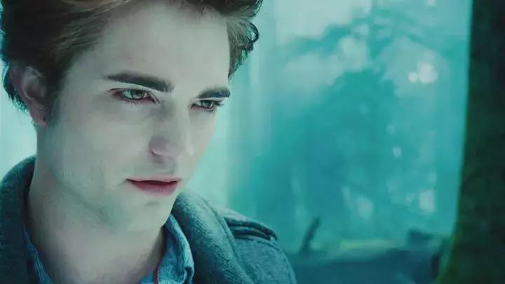 暮光电影男主角现状,暮光男电影