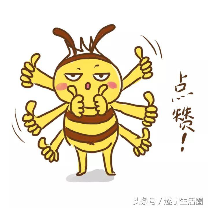 遂宁万达比赛,遂宁市蓬溪县广场舞大赛