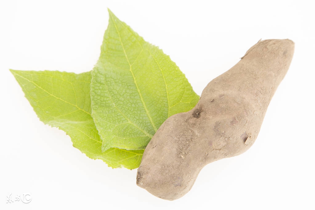 吃雪莲的坏处,吃雪莲果的危害有多大