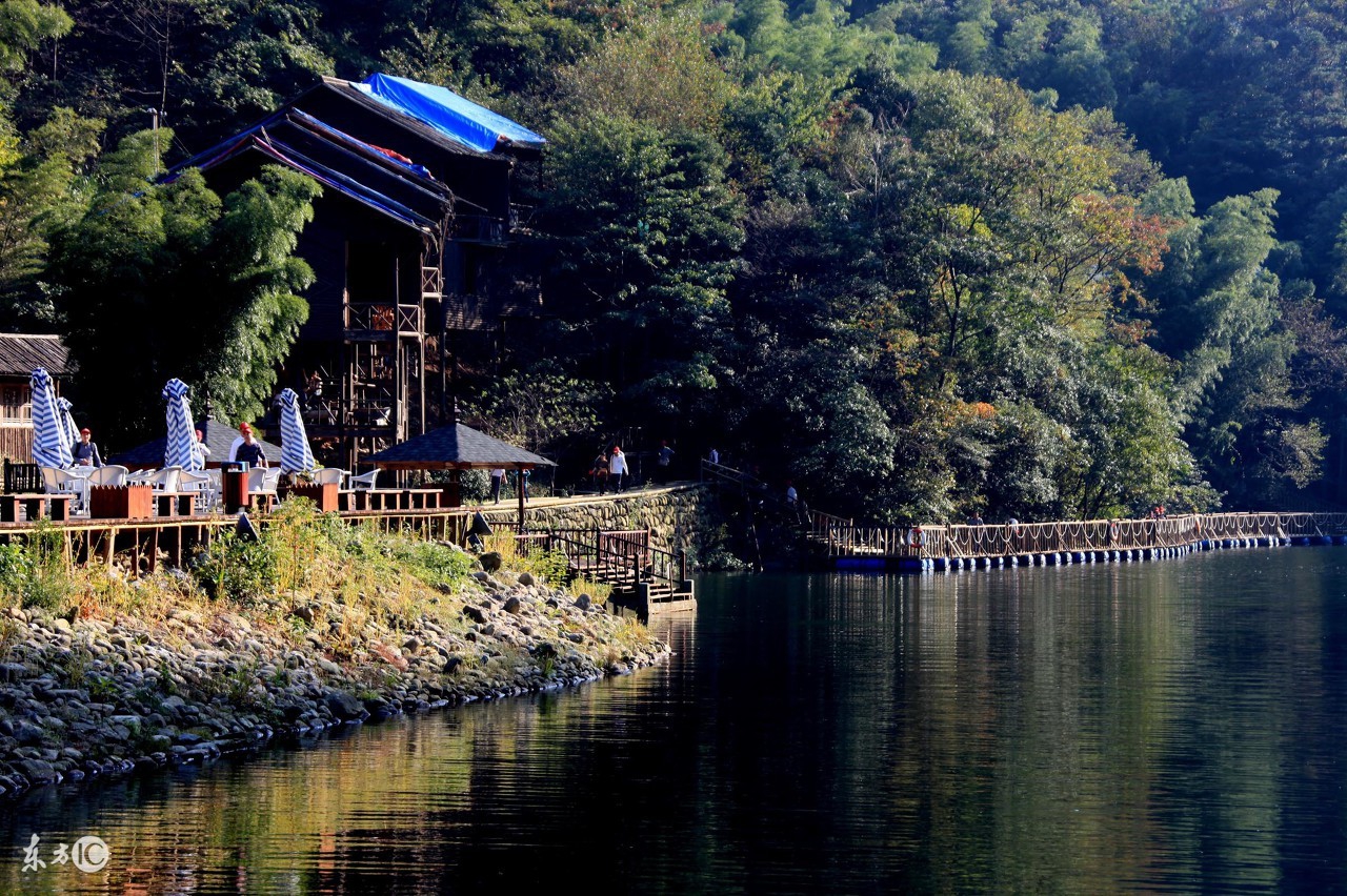 移植肾肌酐升高关注哪些会降,多替拉韦导致肌酐升高会降吗