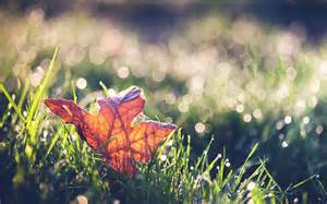 急性湿疹怎么快速治疗,硬皮湿疹的快速治疗方法