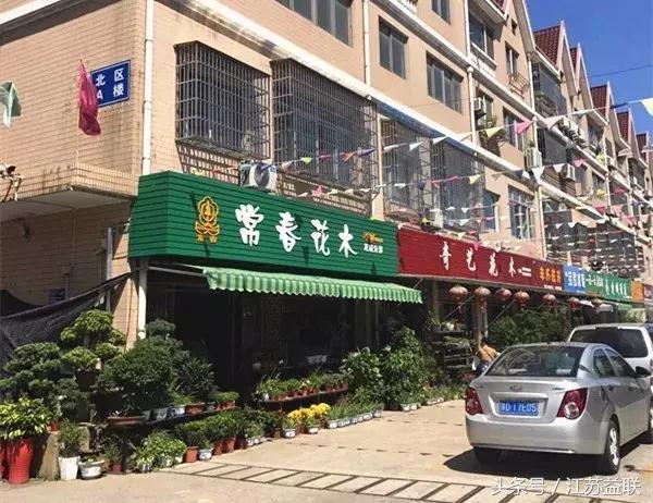 常州鹤远古玩市场,常州古玩市场春节休市吗