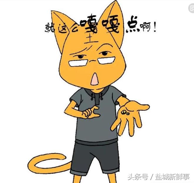 盐城方言搞笑视频大全集,盐城方言是什么话