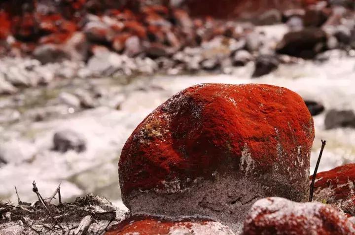 大多数小伙伴儿都不知道的旅行秘密