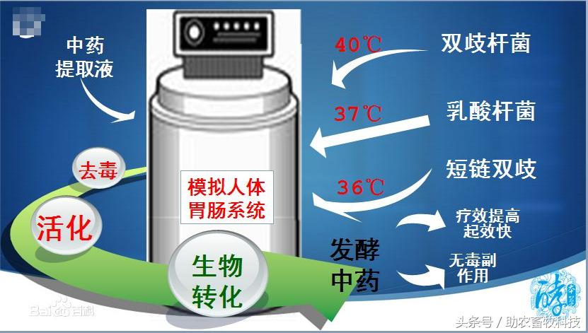固态发酵技术大全,中药液态发酵技术视频教程