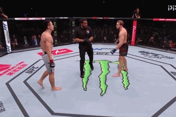 ufc上海打实战,ufc上海数字赛