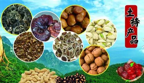 全国各个省市的特产介绍,中国各省市特产