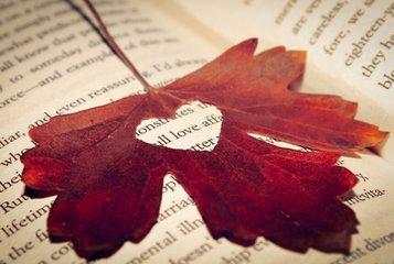 老王谈创业规划,老王谈创业的优势