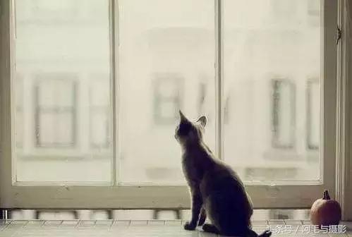 保持独立思考的重要性,独立思考的能力是最重要的能力