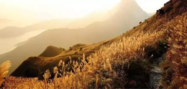 香港哪些地方不可以随便拍照,香港无人不知的景点是哪里