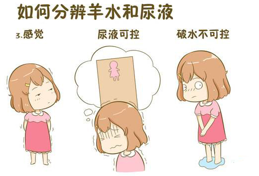 如何区分漏尿和羊水早破？发生羊水早破这3点错误做法，不可不知