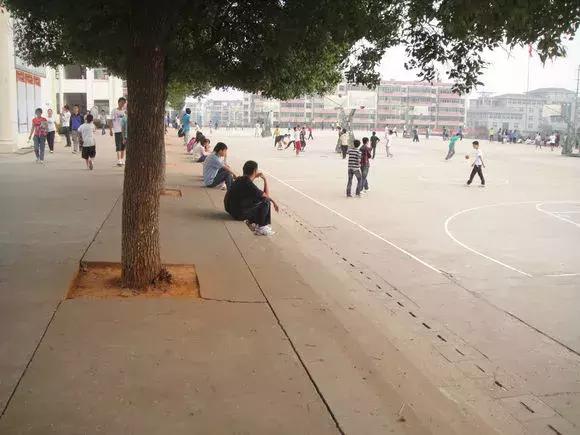 新建二中报道,江西省新建二中最新图片