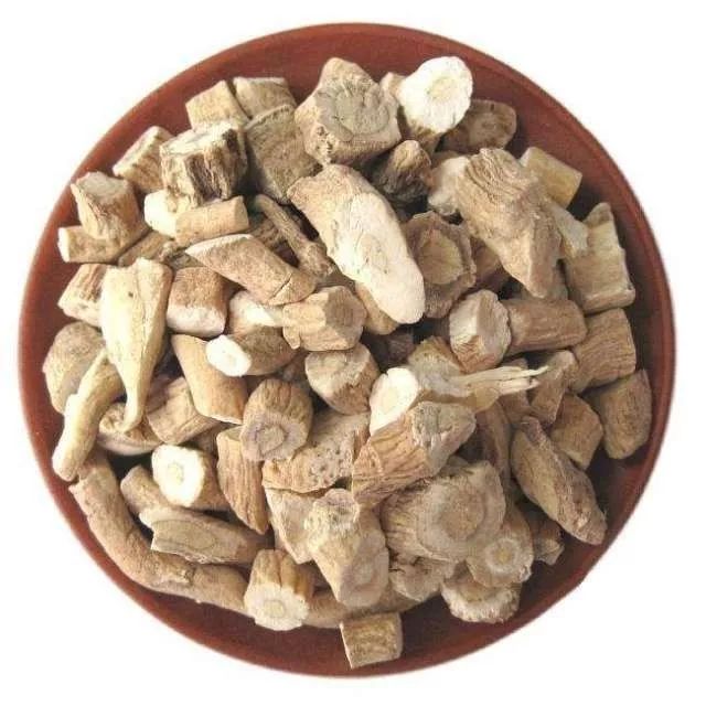 你只知道板蓝根治感冒，可你知道种在阳台上的板蓝根有多美吗？