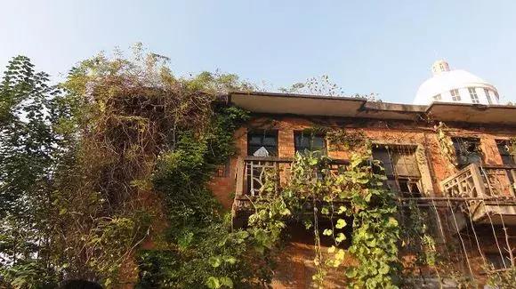 新建二中报道,江西省新建二中最新图片