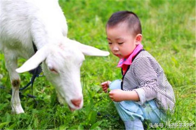 钓叟张演义第二回钓具DIY：擒黄颡首战告捷，失白翘再钓铩羽