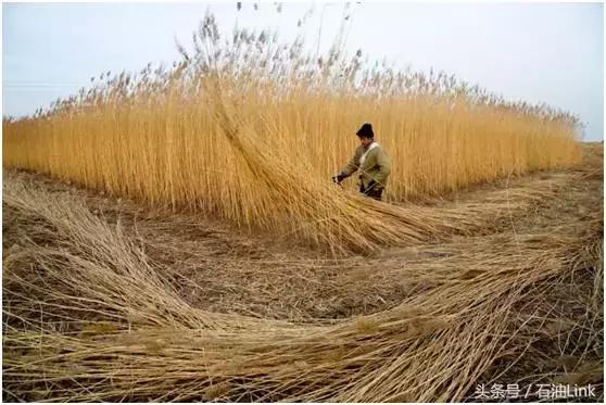 中国石油第一城,坐拥35亿吨石油