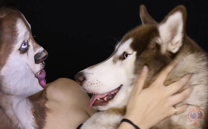 小狗狗头肿了,小狗狗脸肿了脑袋上面按着有水