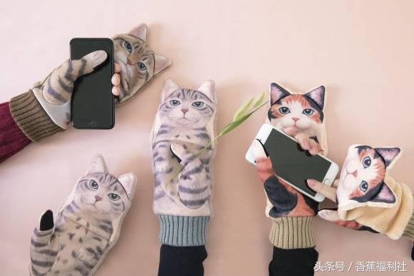 猫咪就是最好的时尚单品,猫咪就是这个世界上最可爱的动物