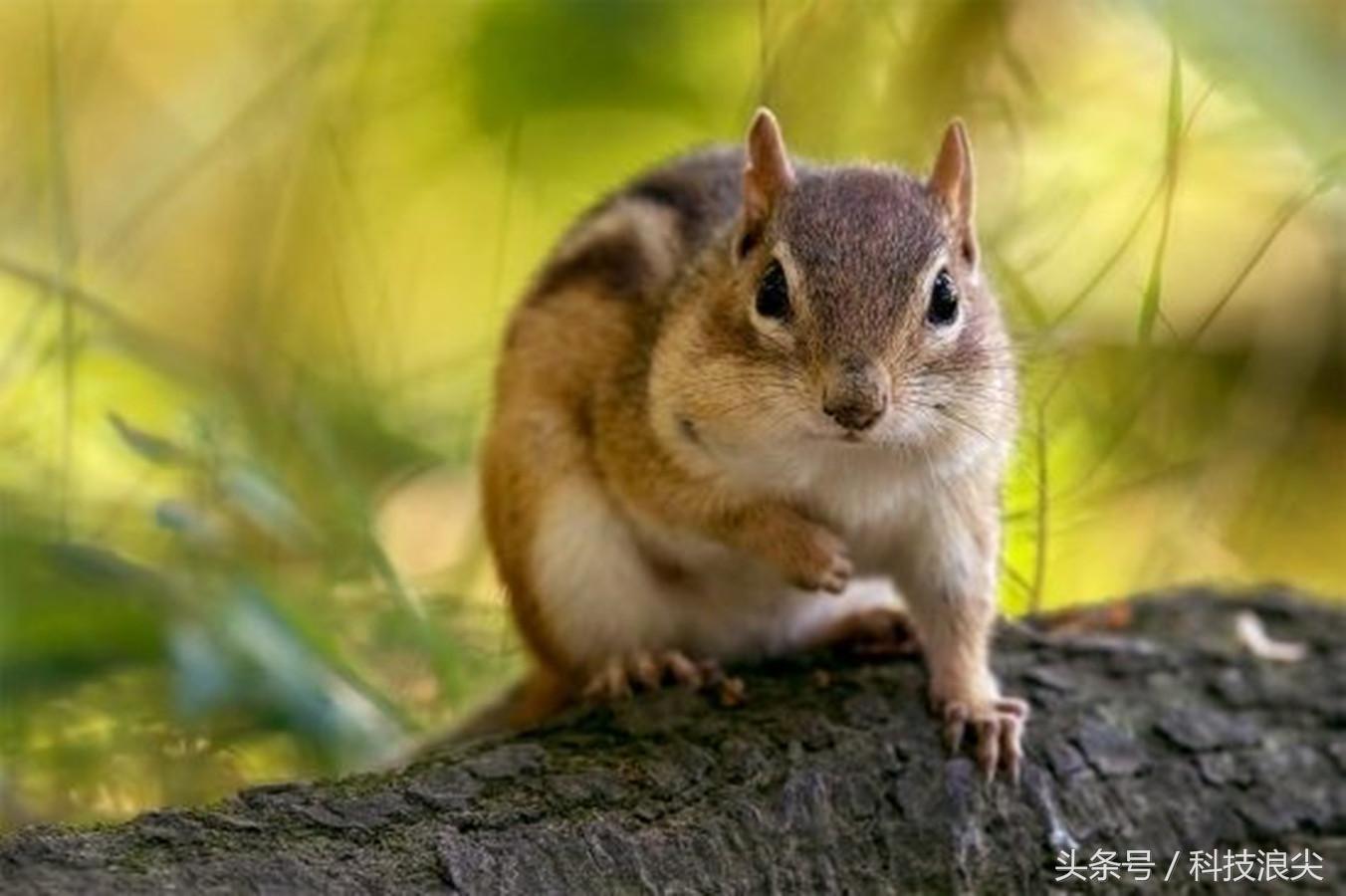 尼康D850测评,尼康d850测试